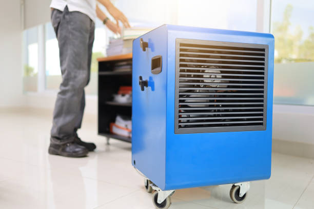 Best Commercial Mold Inspection  in Aldine, TX